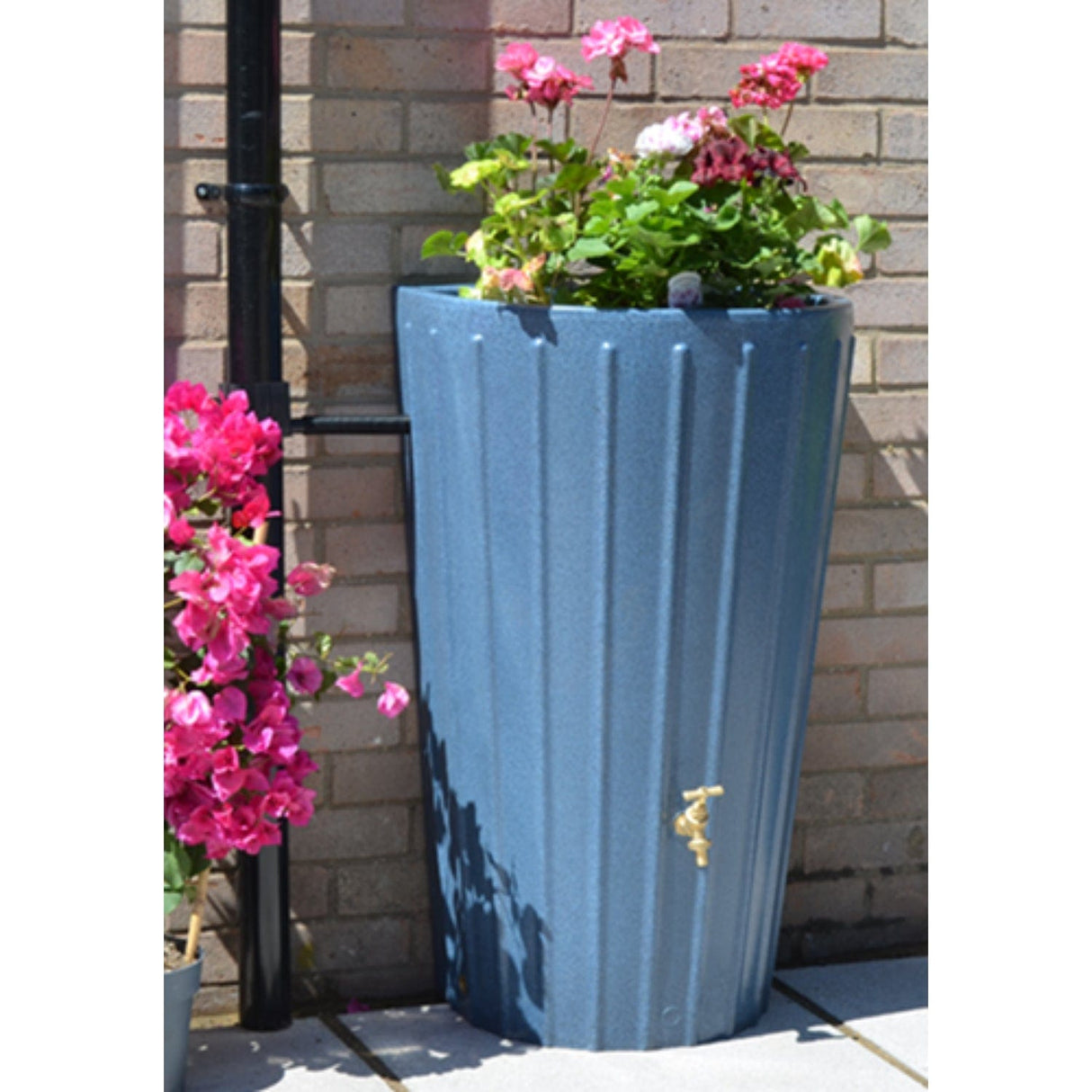 Water Butt Planter