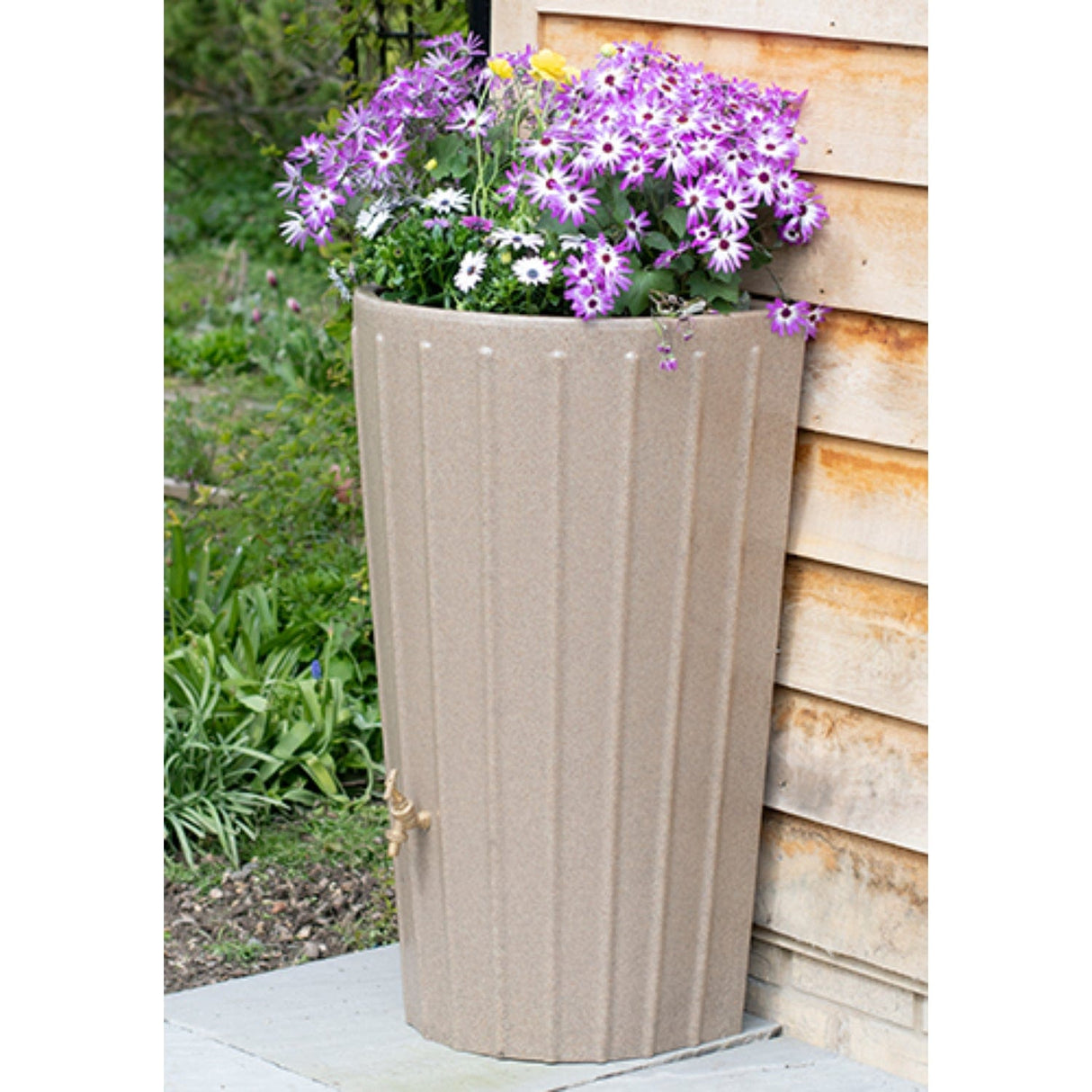 Water Butt Planter
