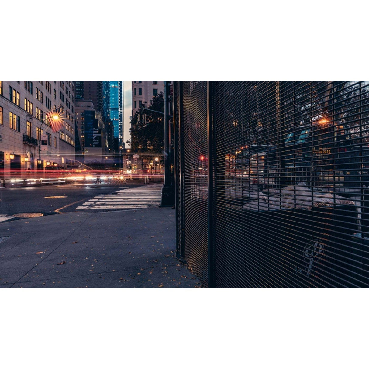 FenceSafe Securus