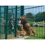 Double Wire Mesh Fencing System