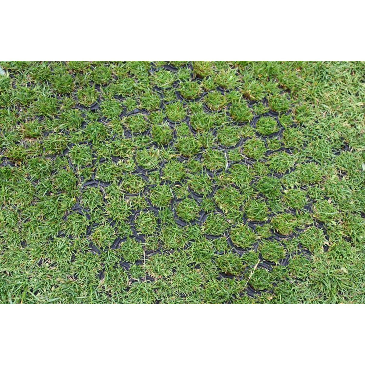 Greenskeeper Rubber Grass Mat - Anti-Slip & Erosion Control