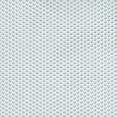 Silver Aluminium Roundhole Sheet