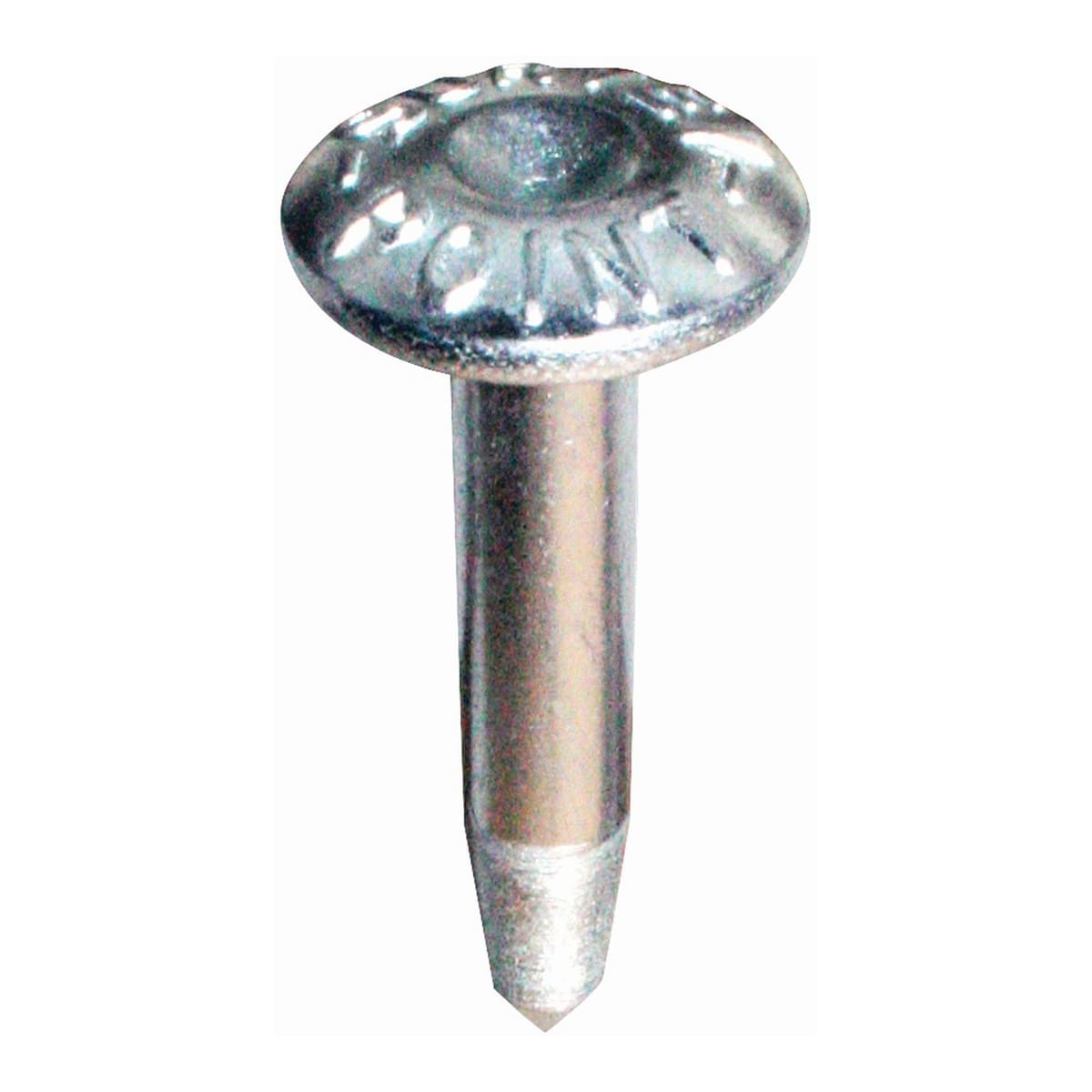 Steel Galvanised Survey Point Nails