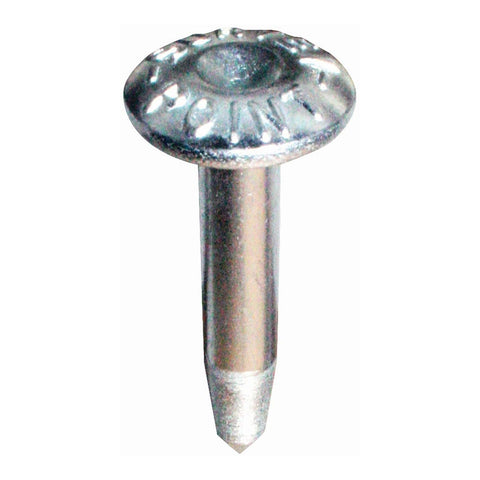 Steel Galvanised Survey Point Nails