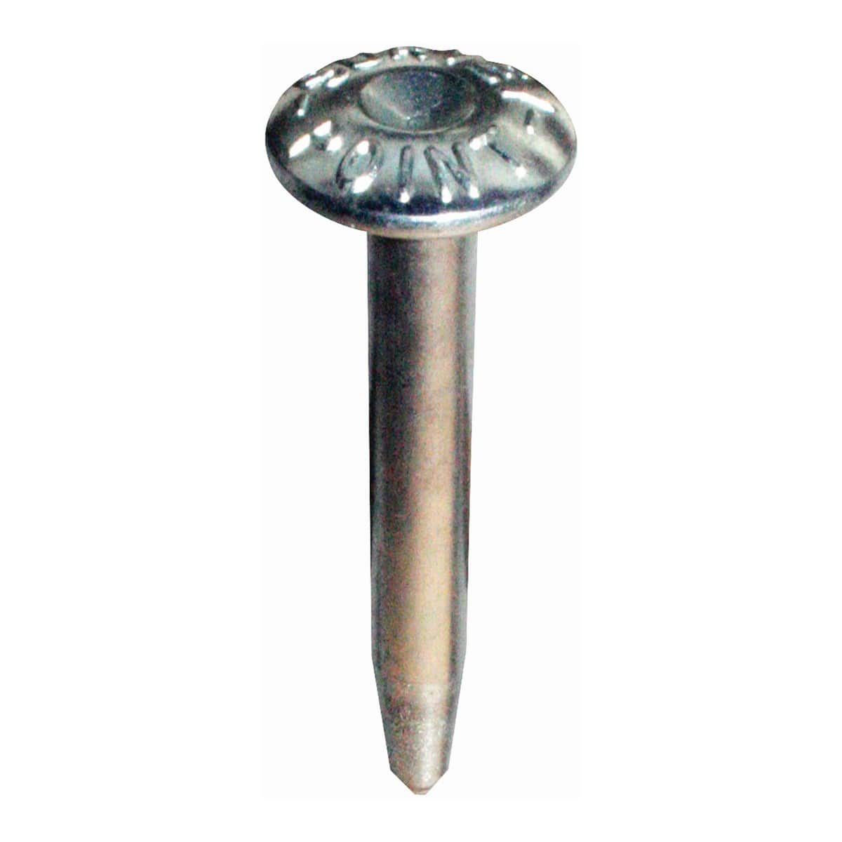 Steel Galvanised Survey Point Nails