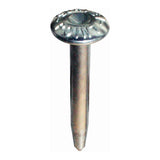 Steel Galvanised Survey Point Nails