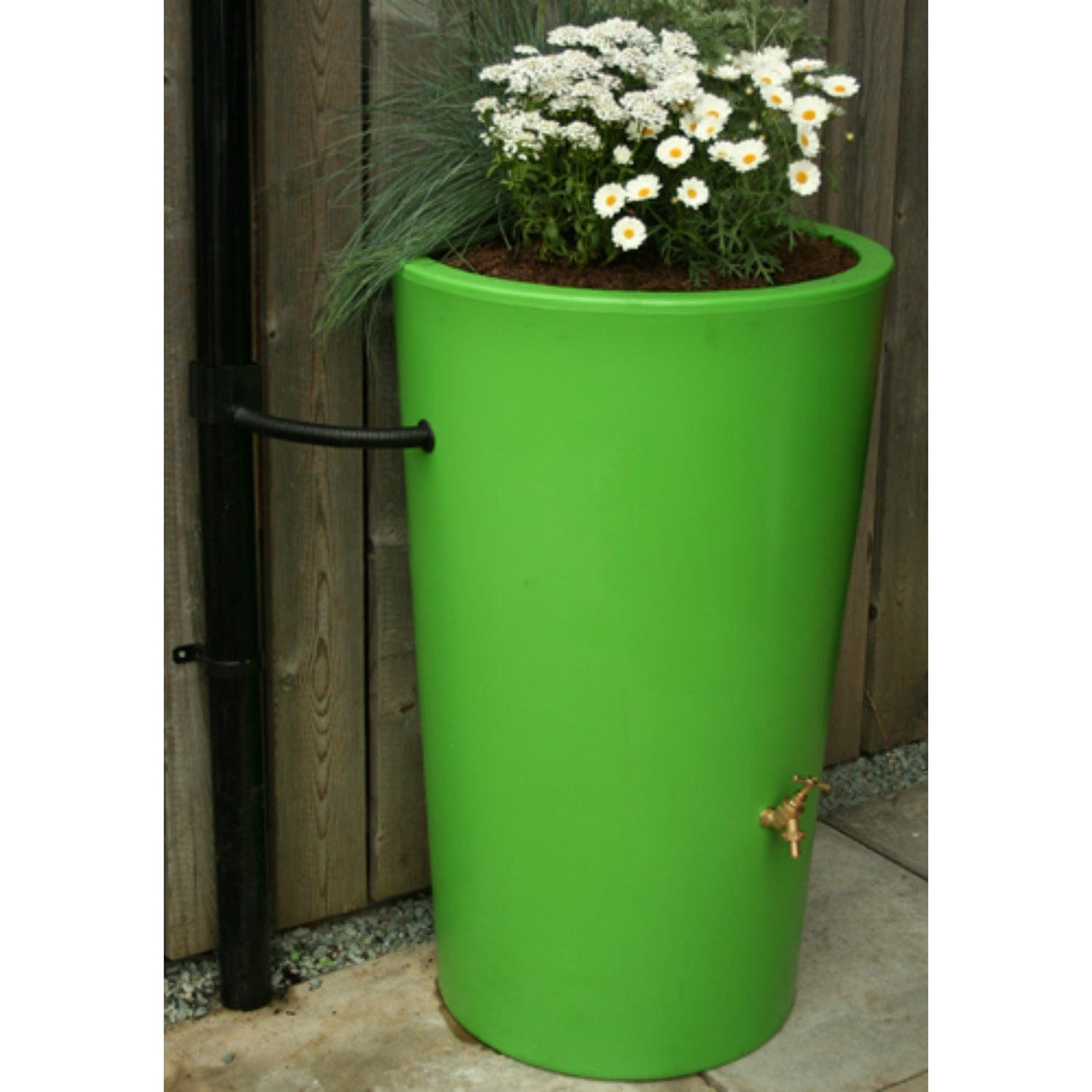 Water Butt Planter