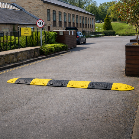 Speed Bumps and Road Humps