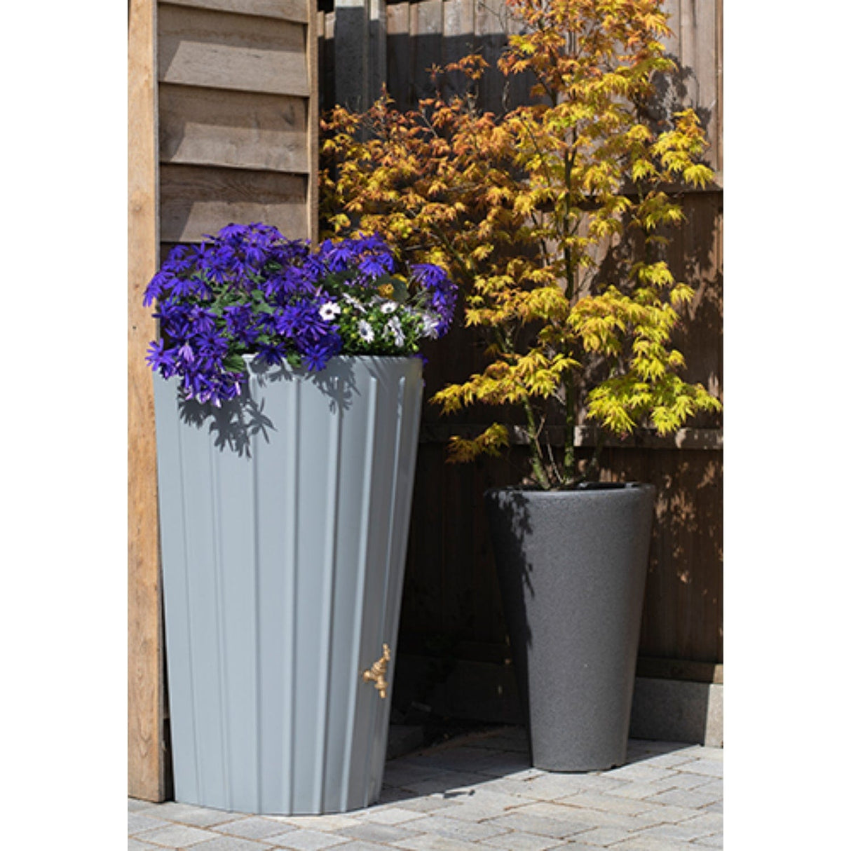 Water Butt Planter