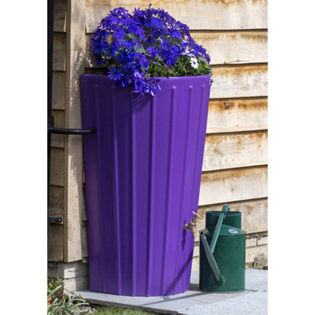 Water Butt Planter