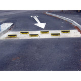 Vehicle One Way Flow Plates - Ground Submerged