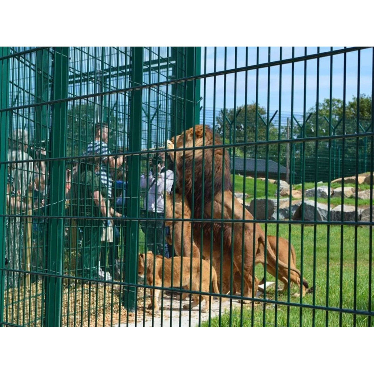 Double Wire Mesh Fencing System