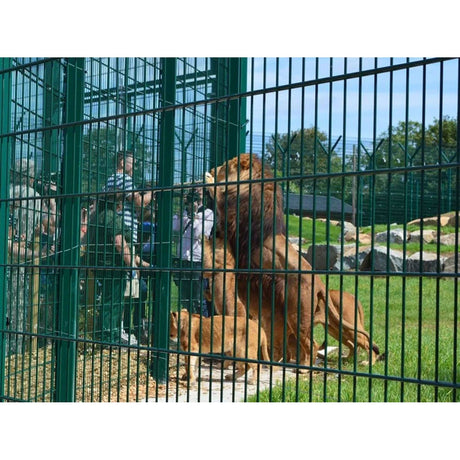 Double Wire Mesh Fencing System