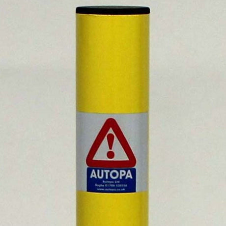 Galvanised Removable Security Post