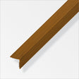 PVC Angle