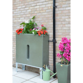 Water Butt Planter