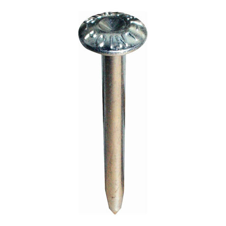 Steel Galvanised Survey Point Nails