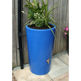 Water Butt Planter