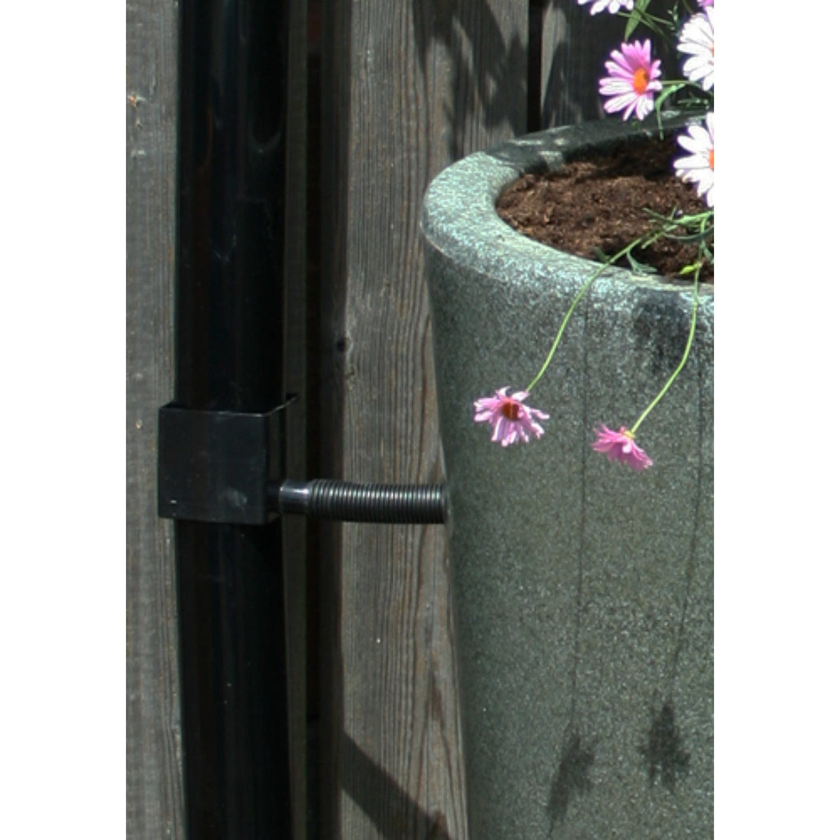 Water Butt Planter