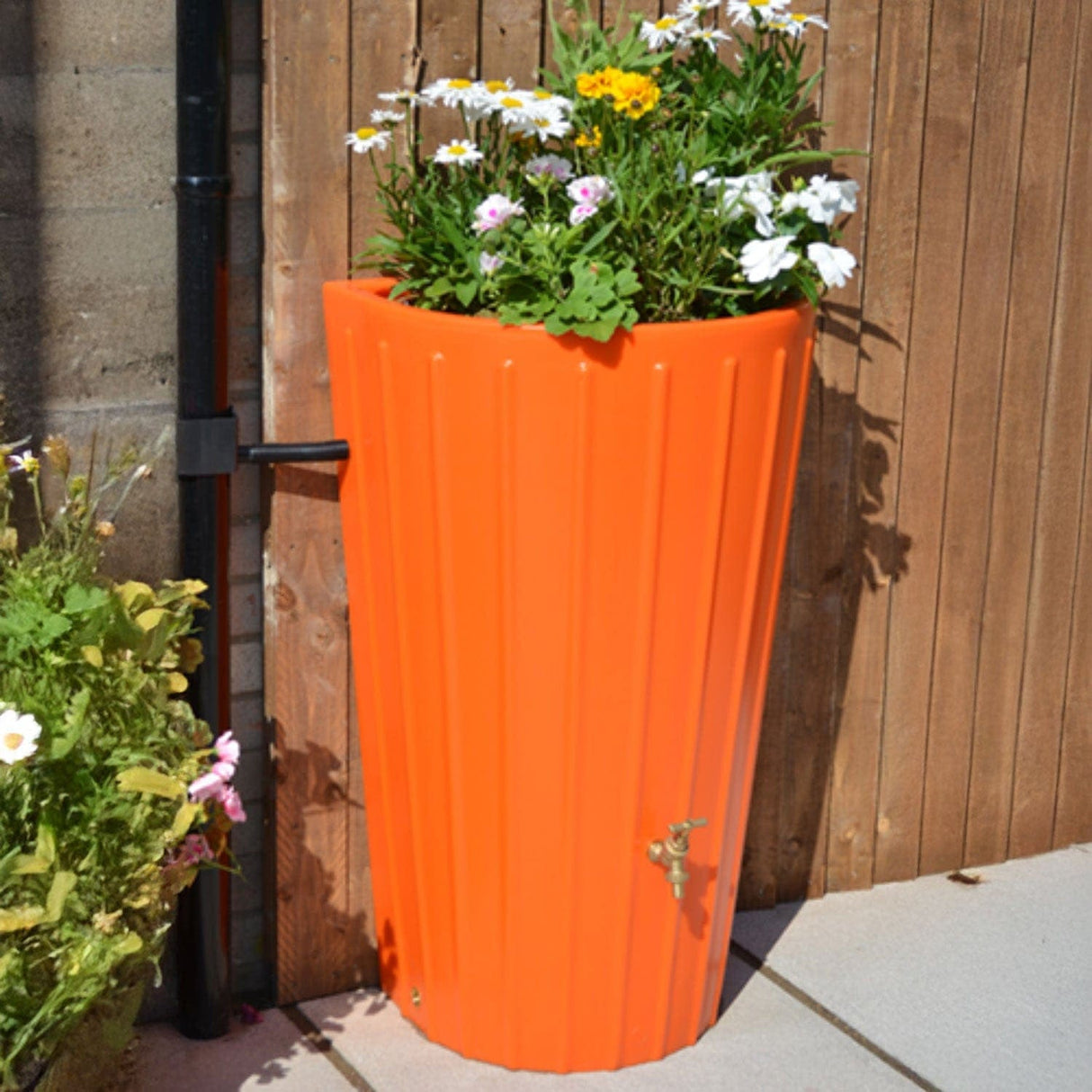Water Butt Planter