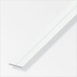 White PVC Flat Bar 